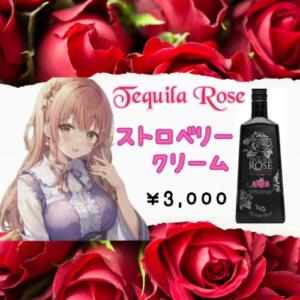 テキーラローズ GIGAMON（久米川/おっパブ・セクキャバ）