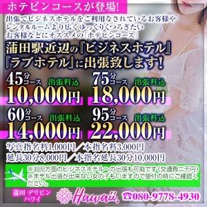 ホテピンコース！ デリピン　ハワイ（蒲田/デリヘル）