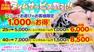 タイムサービス割！ デリピン　ハワイ（蒲田/デリヘル）