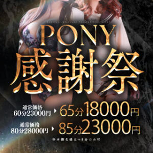 ポニー感謝祭開催！！ ポニーテール和歌山店（和歌山/ソープ）