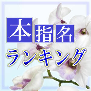 ◆本指名ランキング◆ 胡蝶蘭（池袋/ホテヘル）