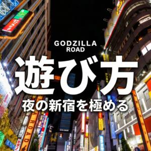 遊び方ガイド choco（新宿・歌舞伎町/デリヘル）