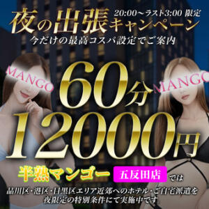 デリバリー60分総額12000円 夜の出張 半熟マンゴー五反田　EROエステ＆ヘルス（五反田/デリヘル）