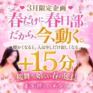 今月限定イベント！・桜舞う、嬉しい春の延長♪【いつもより+15分】 春日部人妻花壇（春日部/デリヘル）
