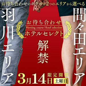 3/14(土)開催！ お待ち合わせで間々田・ 羽川エリアのホテルに行けちゃいます! モアグループ小山人妻花壇（小山/デリヘル）