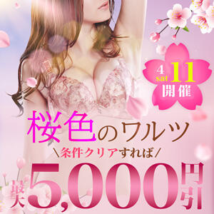 4/11(土)MAX5,000円OFF！桜色のワルツ 柏人妻花壇（柏/デリヘル）