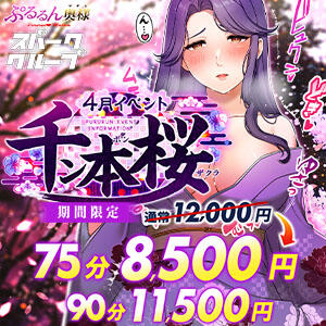 4月イベント!! 『千ﾝ本桜』 75分8,500円～ ぷるるんマダム 難波店（難波/ホテヘル）