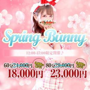 ★Spring Bunny★ ドMなバニーちゃん大宮店（大宮/ソープ）
