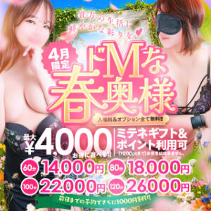 【4月限定】ドMな春奥様 前日までの予約でさらにお得 ドMな奥様 名古屋・錦店（錦/ヘルス）