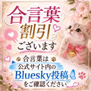 《合言葉割引》1,000円割引＊他と併用可能 人妻日和(久喜)（久喜/デリヘル）