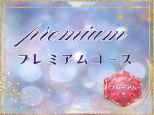 ☆★　プレミアムコース　☆★ Eureka！EGOIST～エゴイスト～-美とエロスの饗宴（八王子/デリヘル）