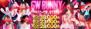 ♥GW　BUNNY♥ ドMなバニーちゃん和歌山店（和歌山/ソープ）