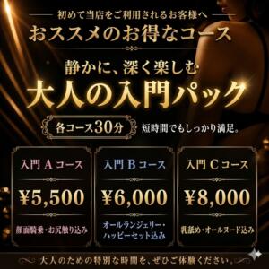 エクレア入門パック エクレア神田-ECLAIR-天然貴姉乳舐手淫（神田/デリヘル）