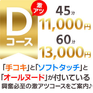 オールヌード付き！激アツDコース！ リニューアル（新宿・歌舞伎町/デリヘル）