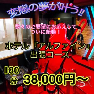 ホテル『アルファイン』出張コース 八王子だョ！変態集合（八王子/デリヘル）
