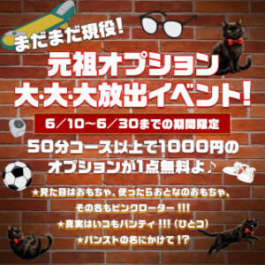 オプション大放出イベント開催！ セクシーキャット 小田原店（小田原/ヘルス）
