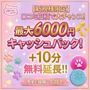 コスパ良くお遊び！ご新規様割引6,000円キャッシュバック！ にゃんだ☆full☆MIX（にゃんだふるみっくす）（池袋/デリヘル）