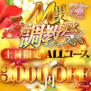 毎週土日は3000円引き！ アナラードライ五反田店（五反田/デリヘル）