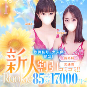歌舞伎町・大久保限定！新人特別コース 大人のエッチなエステ（大久保/デリヘル）