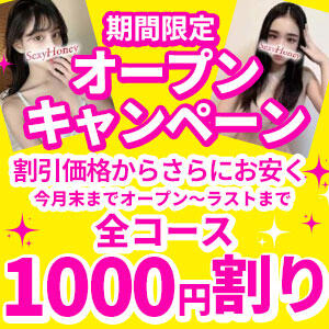 オープンキャンペーン期間限定！ SexyHoney(セクシーハニー）（松戸/デリヘル）