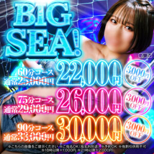 今だけ3000円OFF！BIG SEA開催中！ ハピネス札幌 ROUND2（すすきの/ソープ）