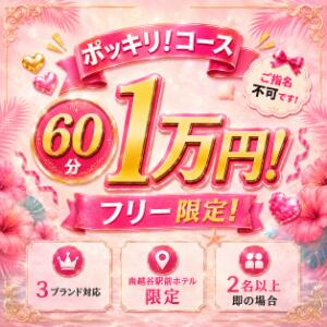 60分1万円ポッキリコース Hip's-group越谷本店（南越谷/デリヘル）