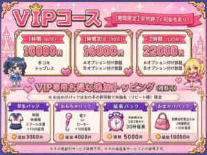 VIPコース【バレたら即終了！！！！】 新宿ハンドメイド（新宿・歌舞伎町/デリヘル）