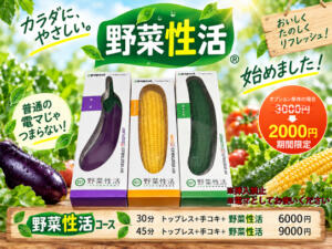 野菜性活コース 新宿ハンドメイド（新宿・歌舞伎町/デリヘル）