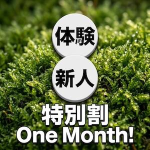 体験・新人 特別割引 One Month！ 三丁目の奥様（東京ハレ系）（鶯谷/ヘルス）
