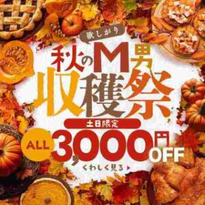 毎週土日は3000円引き！ アナラードライ五反田店（五反田/デリヘル）