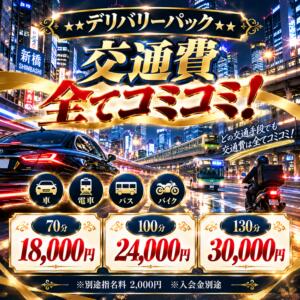 デリバリーパック 大人のエッチなエステ新橋店（新橋/デリヘル）