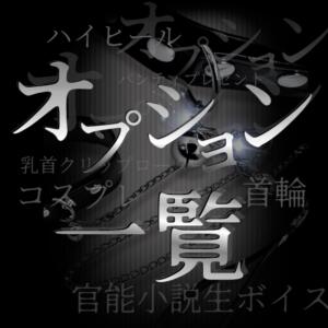 オプション一覧 MOTHER(旧ママとおねえさん)（渋谷/デリヘル）