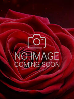 宮瀬/Miyase マダムの楽園（【非風俗】メンズエステ）