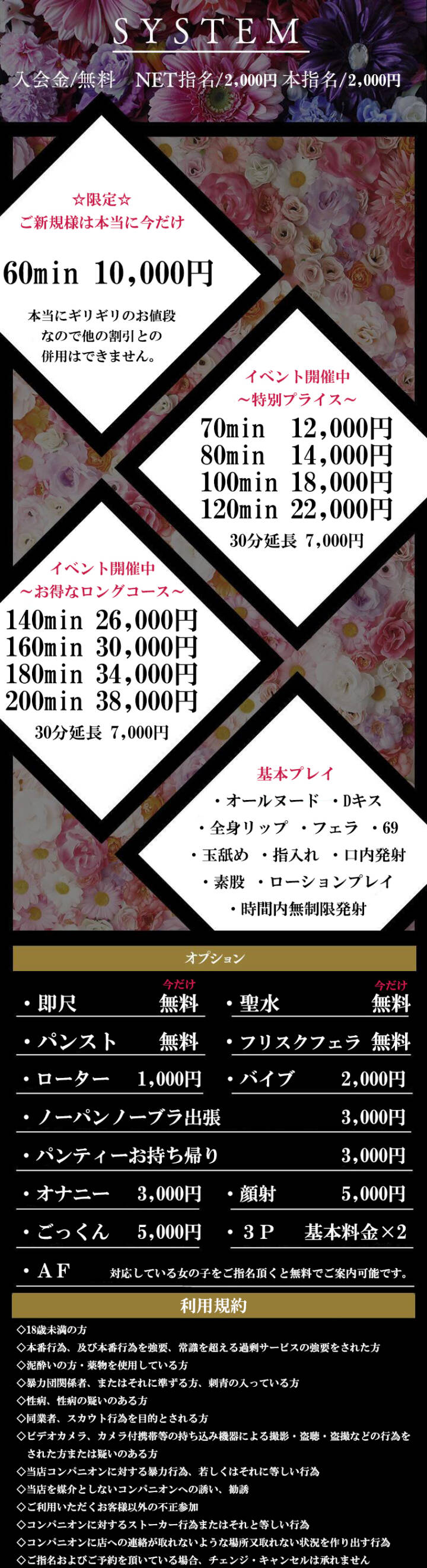 システム|S級素人専門デリバリーViVi@NS(デリヘル/土浦発・近郊)