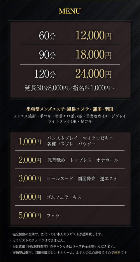 システム｜ペントハウス（デリバリーエステ/蒲田発・近郊）