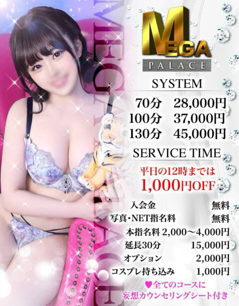 システム｜MEGA PALACE(メガパレス）（ソープランド/蕨）