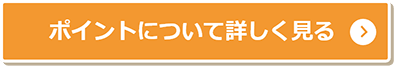 ポイントについて詳しく見る